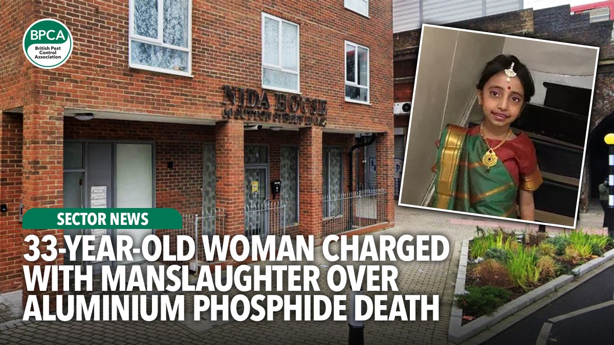 33-year-old-woman-charged-with-manslaughter-hero